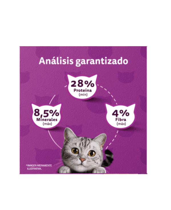 Whiskas pescado - Image 4
