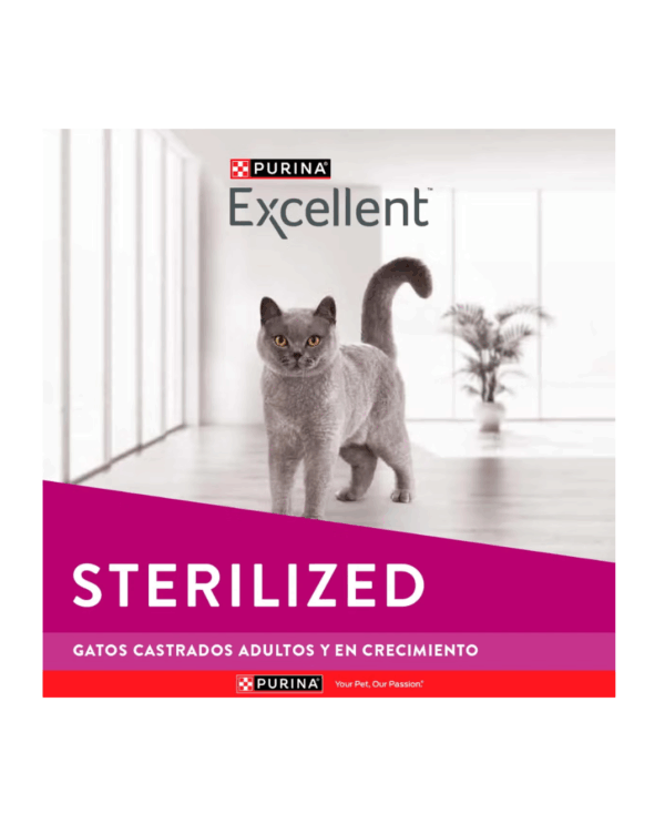 Excellent Gato Esterilizado - Image 2