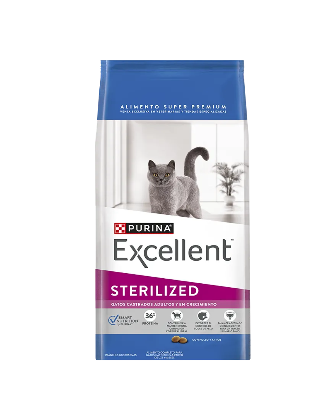 Excellent Gato Esterilizado