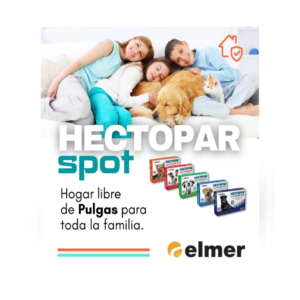 Hectopar pipetas perros