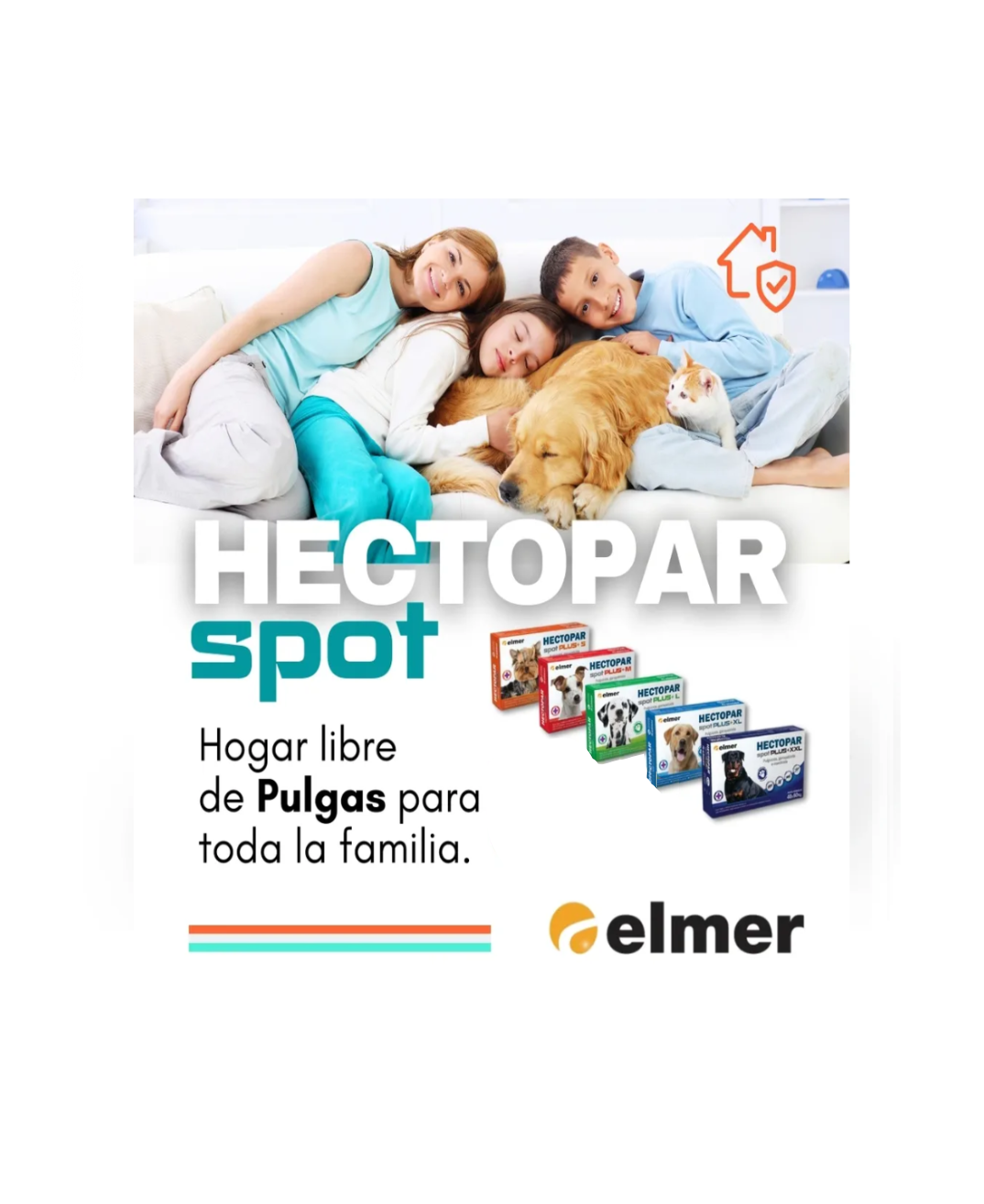 Hectopar pipetas perros