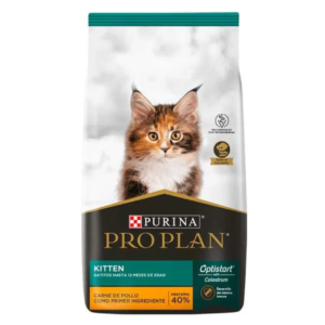 Pro plan kitten