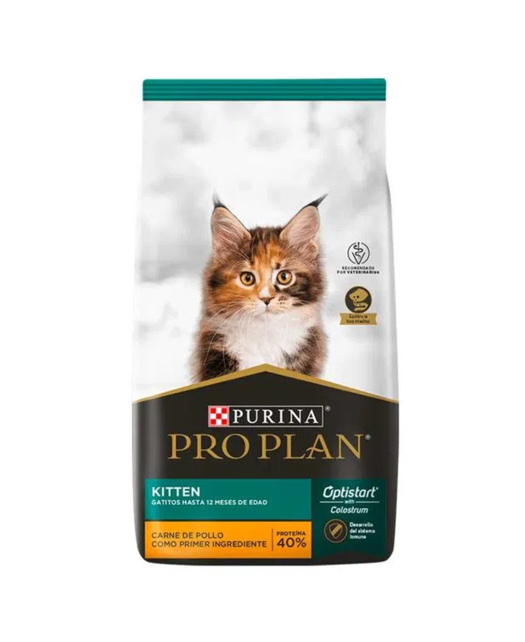 Pro plan kitten