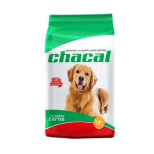 Chacal Perro adulto