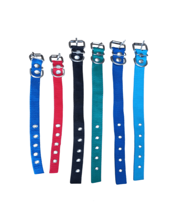Collares