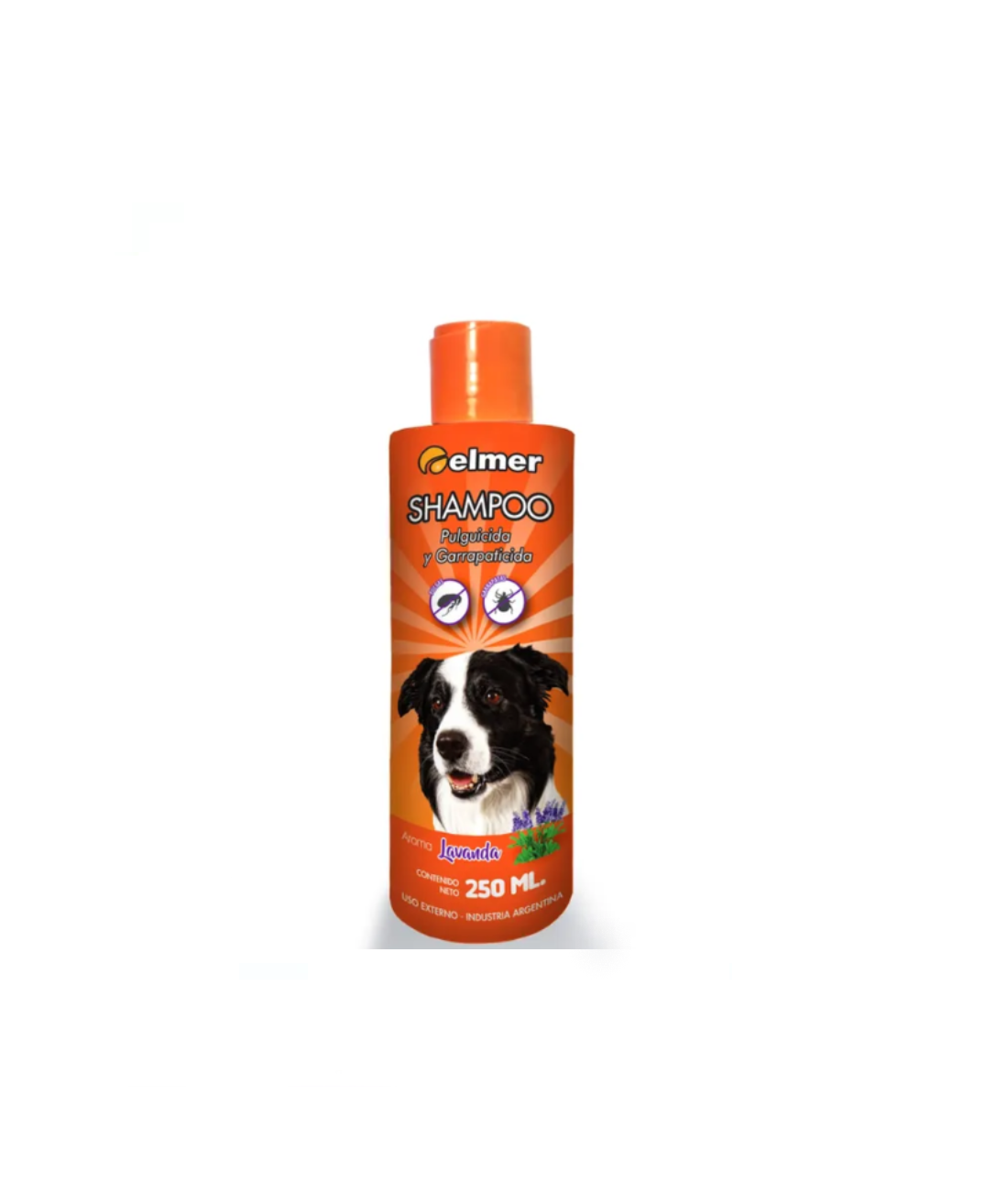 Elmer Shampoo
