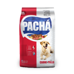 Pachá Perro adulto mix