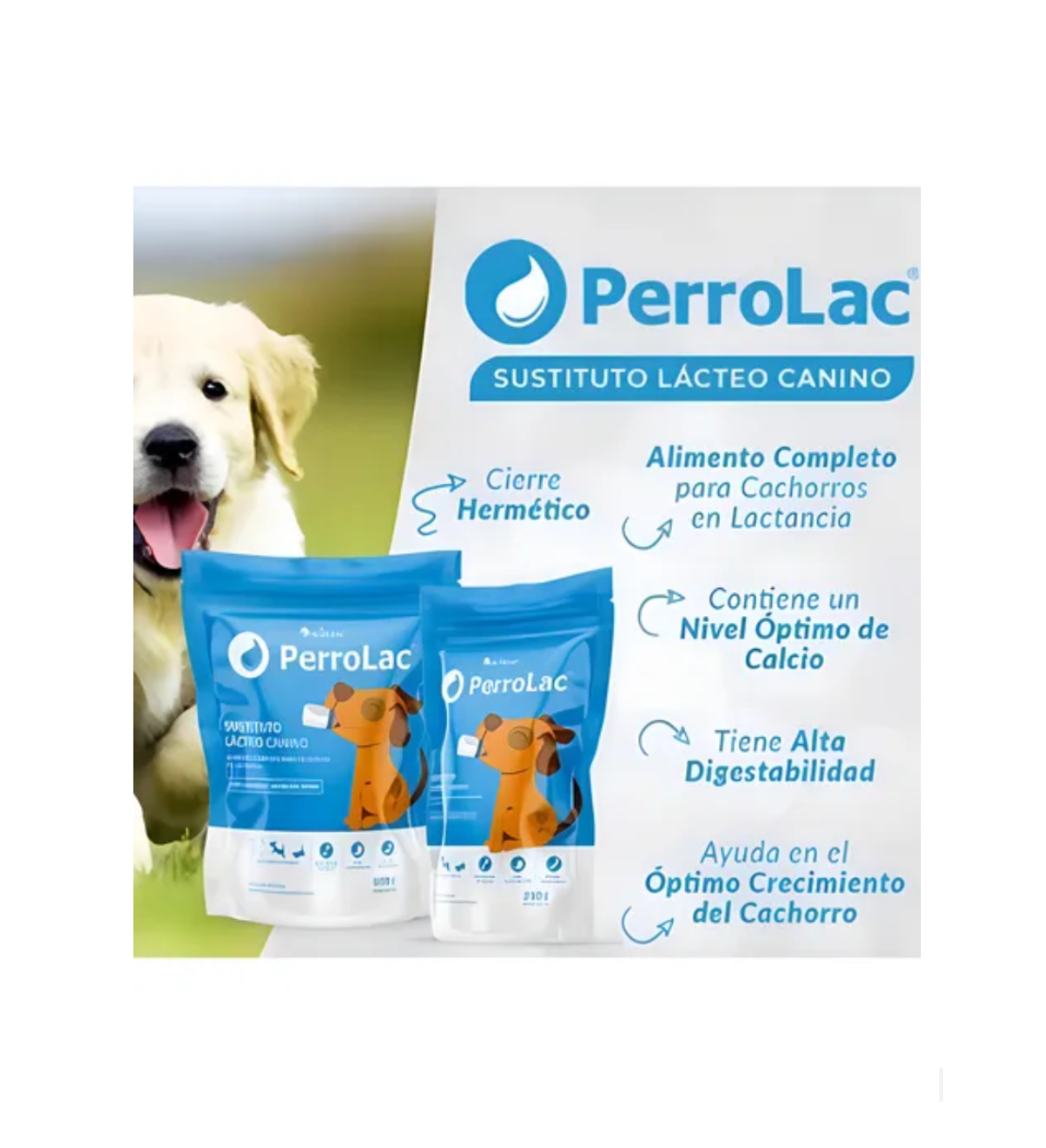 PerroLac - Image 3