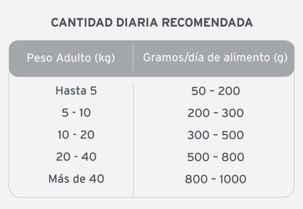Cereales perro adulto - Image 2