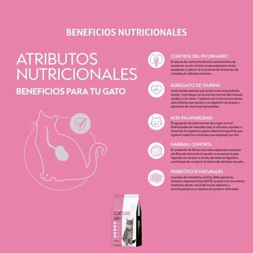 CatLike gato adulto - Image 3