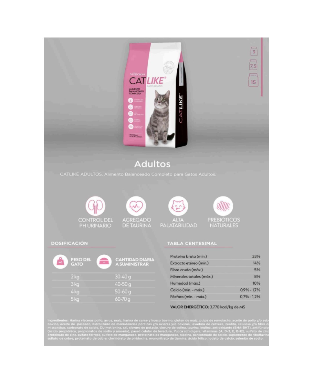 CatLike gato adulto - Image 5