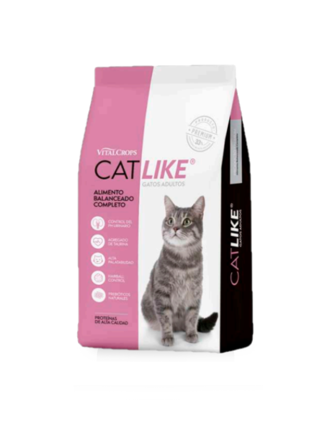 CatLike gato adulto