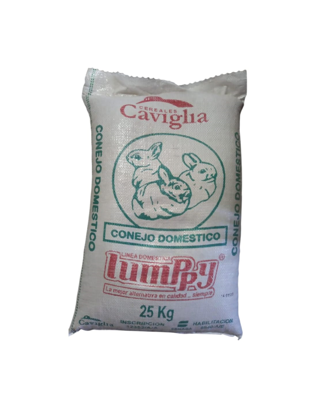 Conejo Doméstico Lumppy