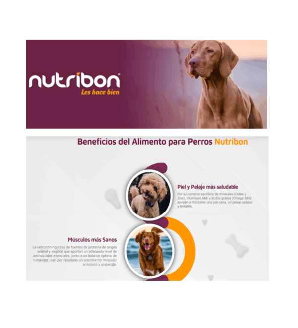 Nutribon plus perro adulto - Image 2