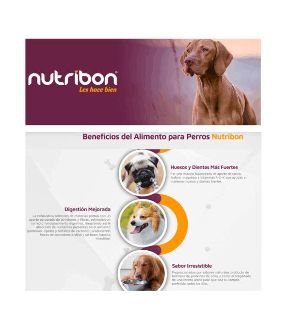 Nutribon plus perro adulto - Image 3