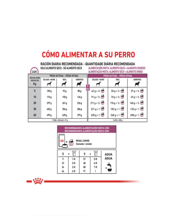 Royal Canin renal perros - Image 2