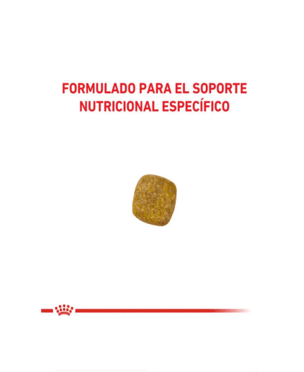 Royal Canin renal perros - Image 3