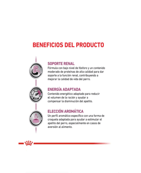 Royal Canin renal perros - Image 4
