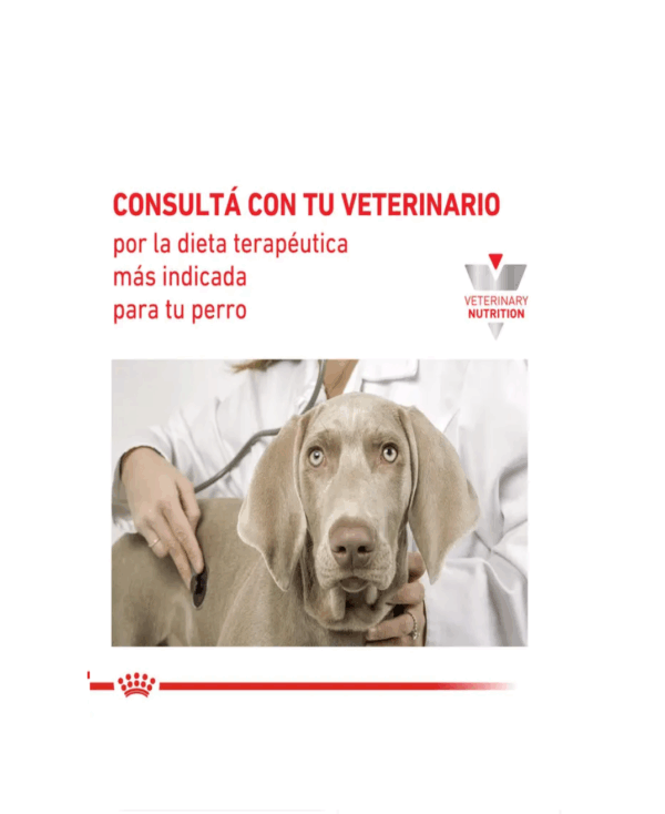 Royal Canin renal perros - Image 5